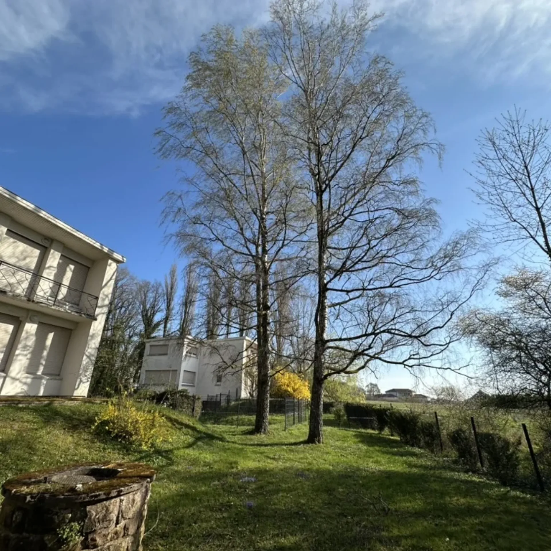 échantillon de patrimoine arboré