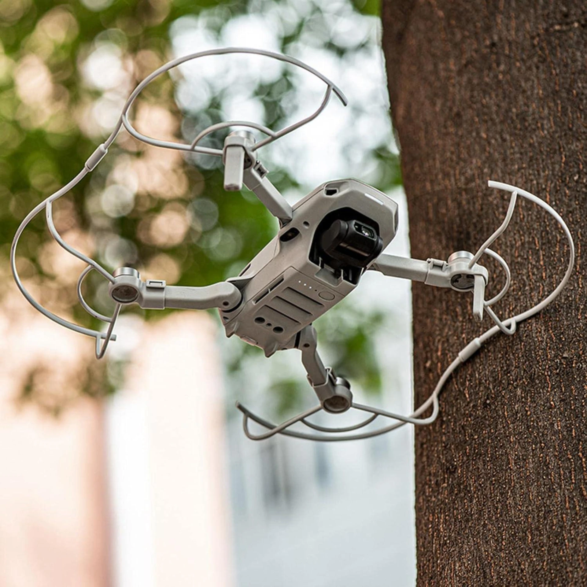 Inspection de canopée par drone à la recherche de nids et cavités