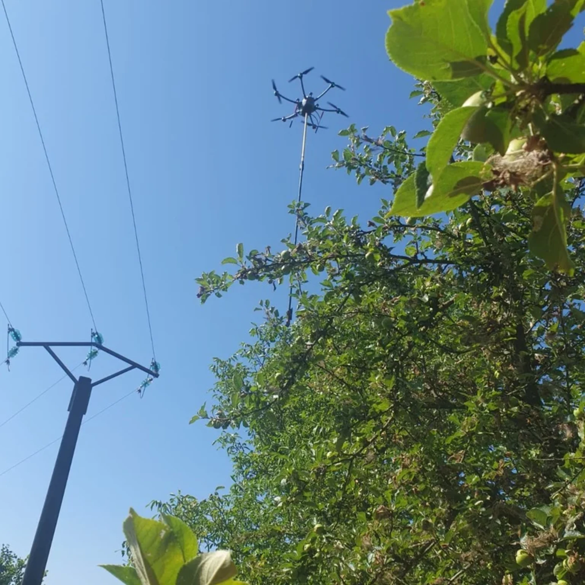 Drone électrique effectuant un chantier d'élagage écoresponsable