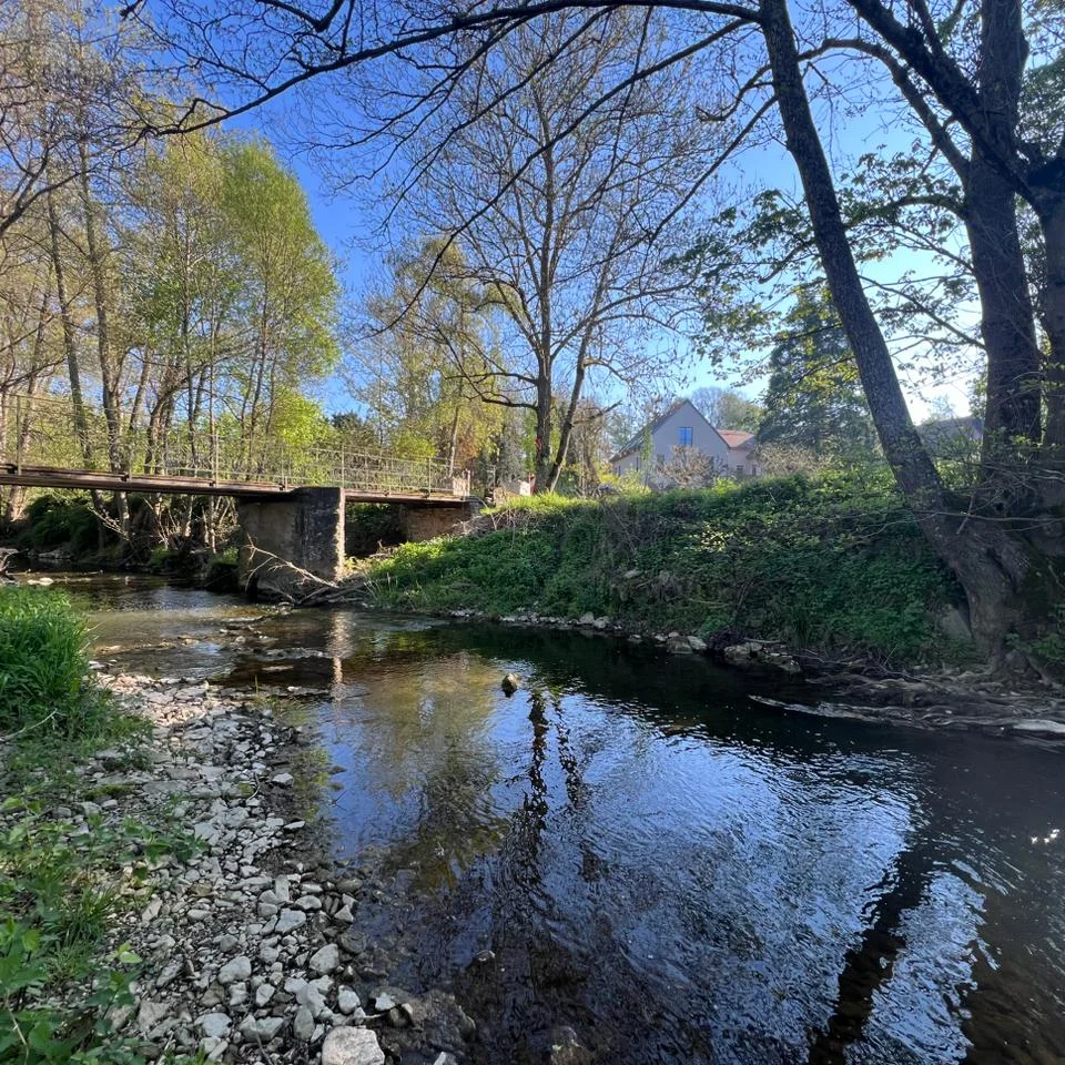 Canal bordé d'arbres verdoyants