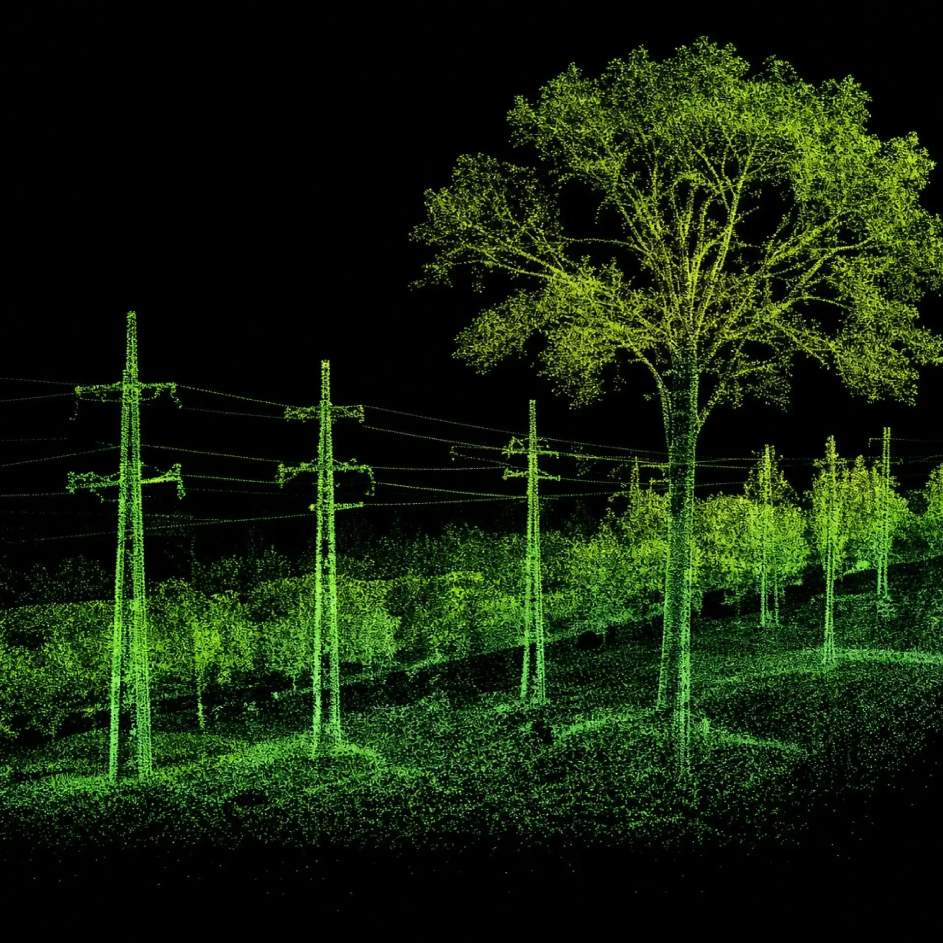 Nuage de points issu d'un scan lidar montrant arbres et lignes électriques
