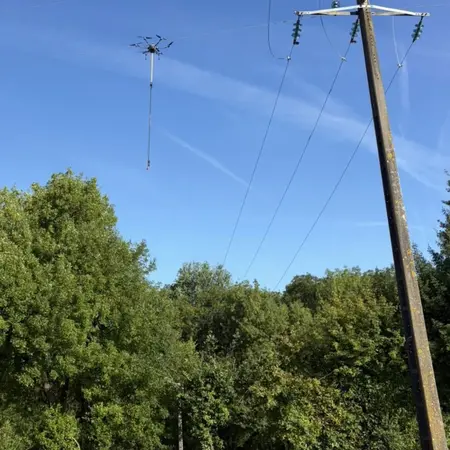Élagage par Drone